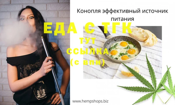 индика Ельня